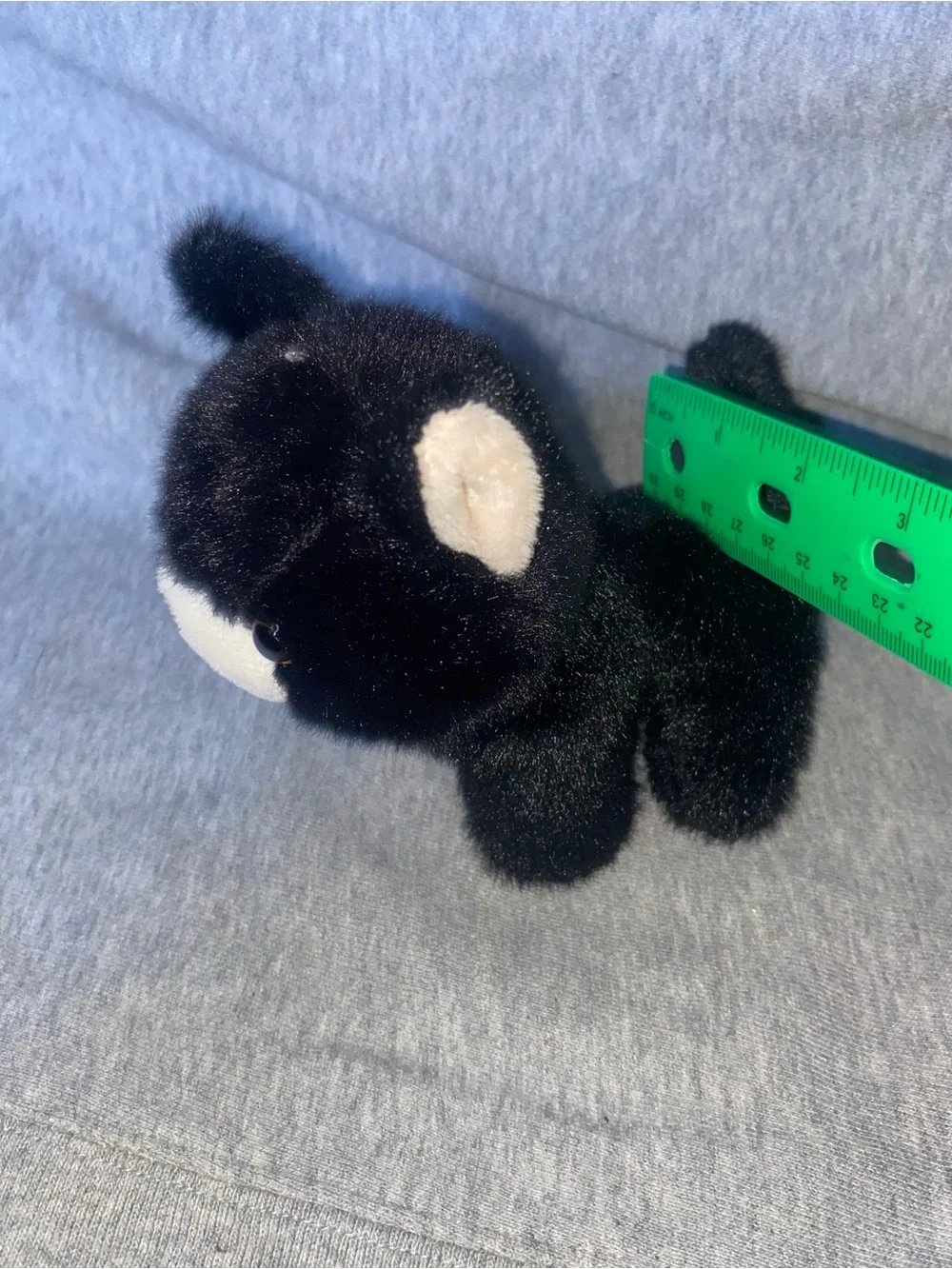 Small black plush kitty cat